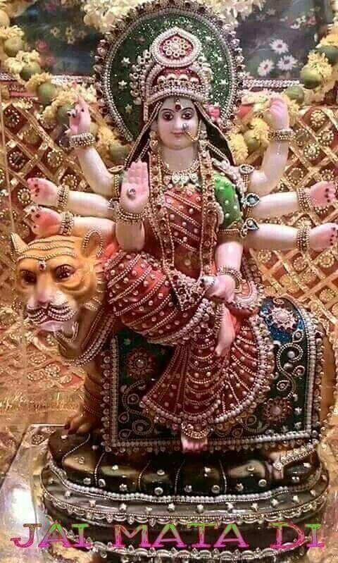 मनेंद्रगढ़ में प्रतिवर्ष धूमधाम से नवरात्रि का त्यौहार मनाया जाता है।