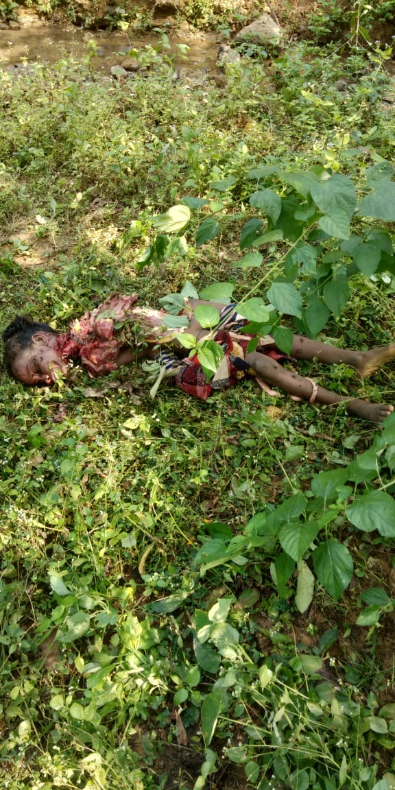 बहुत ही दुःखद समाचार.  शहडोल जिला के ग्राम, भूमकार में कल शाम 5 बजे एक 7 वर्षीय बच्ची को खलिहान से एक जंगली तेंदुआ, करीब 200 मीटर तक घसीट ते लेजाकर एक नाले में सिर &पैर छोड़कर पूरा खा गया