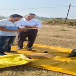 कलेक्टर ने फसल कटाई प्रयोग का किया निरीक्षण