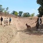विजयराघवगढ़ के जंगल में 12 चीतल और 2 सांभर मृत मिले, तालाब में ज़हर मिलाकर सामूहिक शिकार की आशंका
