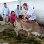 मुख्यमंत्री जन-विश्वास अभियान के तहत 130 गोवंश क्षमता की कन्हवारा गौशाला पहुंचकर कलेक्टर श्री तिवारी ने लिया व्यवस्थाओं का जायजा