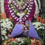 माँ शारदा मैहर के दरबार में उमड़ी श्रद्धा, सप्तमी पर वैदिक मंत्रोच्चार के साथ हुई दिव्य आरती
